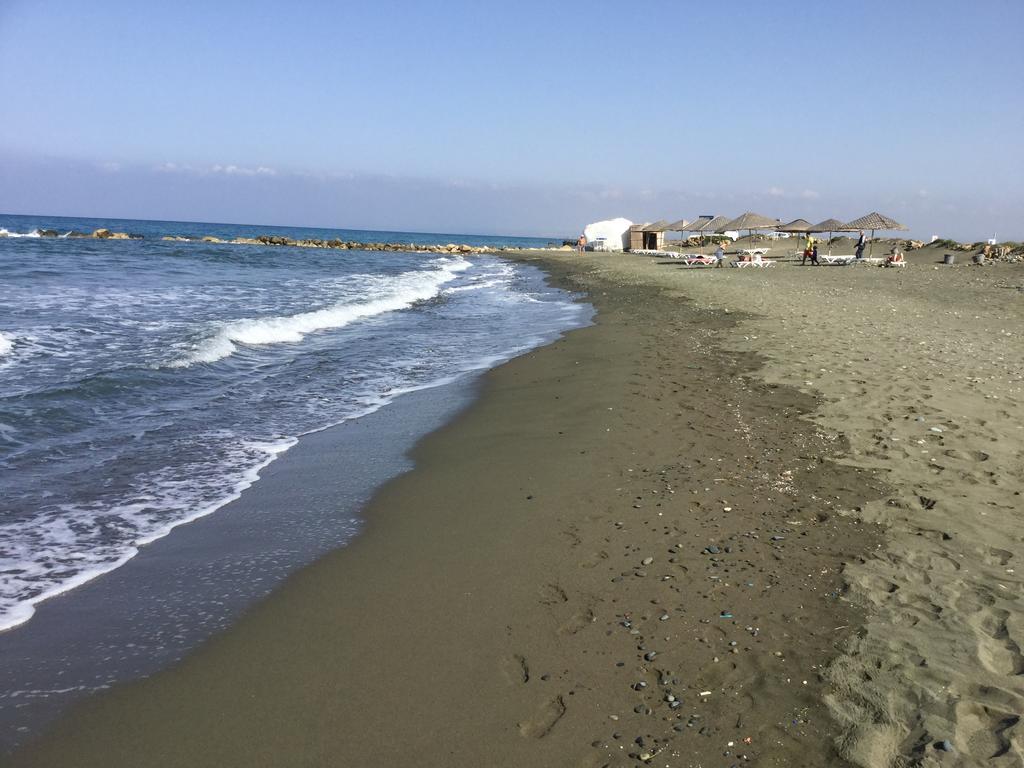 Aphrodite Beachfront Apartment Gaziveren Dış mekan fotoğraf